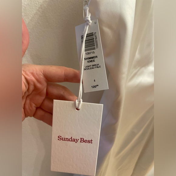 Aritzia Sunday Best Dress - Picture 3 of 4